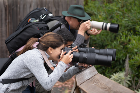 Wildlife Photography Workshop Students with Aperture Academy at the San Francisco Zoo